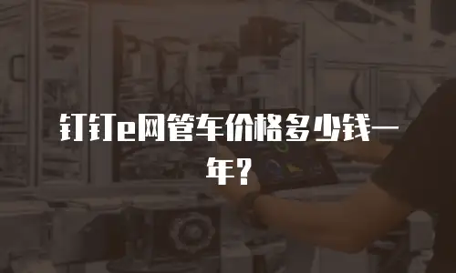 钉钉e网管车价格多少钱一年？