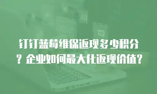 钉钉蓝莓维保返现多少积分？企业如何最大化返现价值？