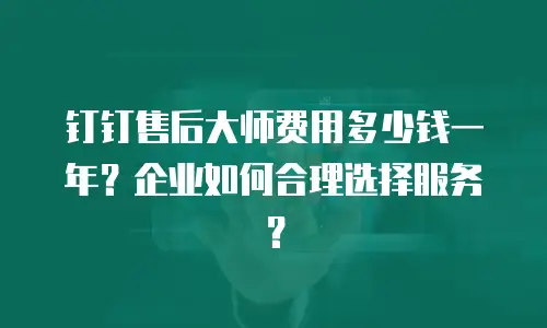 钉钉售后大师费用多少钱一年？企业如何合理选择服务？