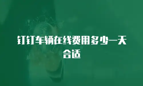 钉钉车辆在线费用多少一天合适