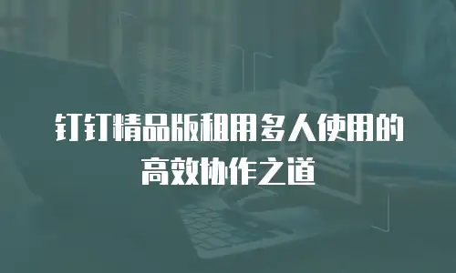 钉钉精品版租用多人使用的高效协作之道