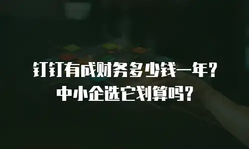 钉钉有成财务多少钱一年？中小企选它划算吗？