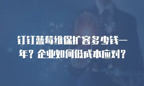 钉钉蓝莓维保扩容多少钱一年？企业如何低成本应对？