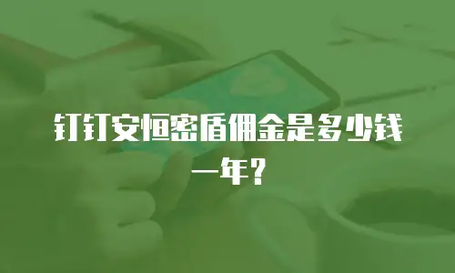 钉钉安恒密盾佣金是多少钱一年？
