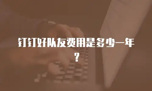 钉钉好队友费用是多少一年？