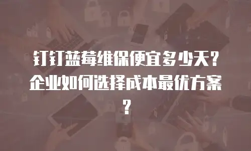 钉钉蓝莓维保便宜多少天？企业如何选择成本最优方案？