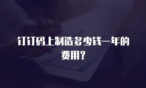 钉钉码上制造多少钱一年的费用？