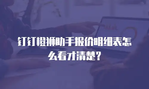 钉钉橙狮助手报价明细表怎么看才清楚？