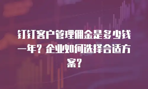 钉钉客户管理佣金是多少钱一年？企业如何选择合适方案？