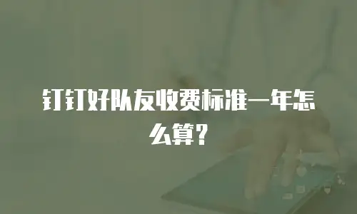 钉钉好队友收费标准一年怎么算？