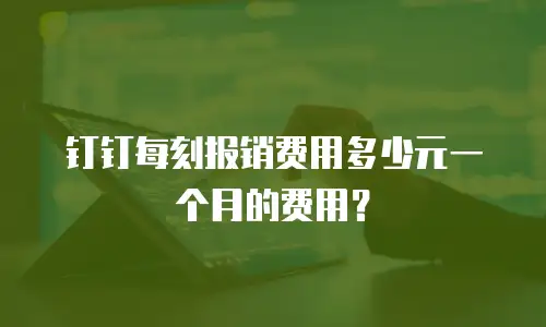 钉钉每刻报销费用多少元一个月的费用？