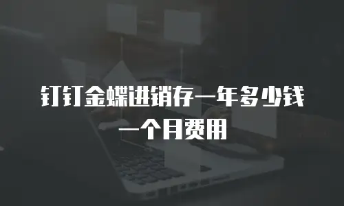 钉钉金蝶进销存一年多少钱一个月费用