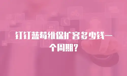 钉钉蓝莓维保扩容多少钱一个周期？