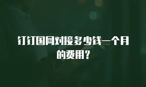 钉钉国网对接多少钱一个月的费用？