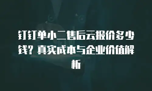 钉钉单小二售后云报价多少钱？真实成本与企业价值解析