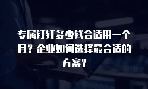 专属钉钉多少钱合适用一个月？企业如何选择最合适的方案？
