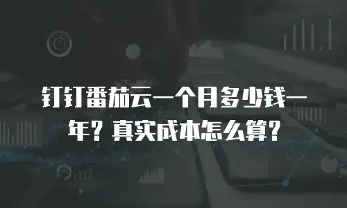钉钉番茄云一个月多少钱一年？真实成本怎么算？