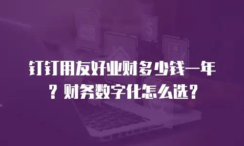 钉钉用友好业财多少钱一年？财务数字化怎么选？