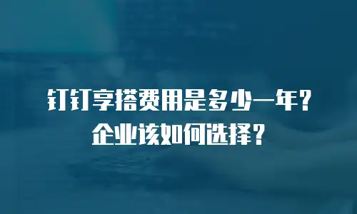 钉钉享搭费用是多少一年？企业该如何选择？