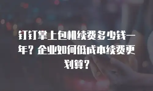 钉钉掌上包机续费多少钱一年？企业如何低成本续费更划算？