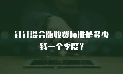钉钉混合版收费标准是多少钱一个季度？