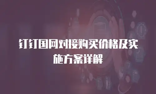 钉钉国网对接购买价格及实施方案详解