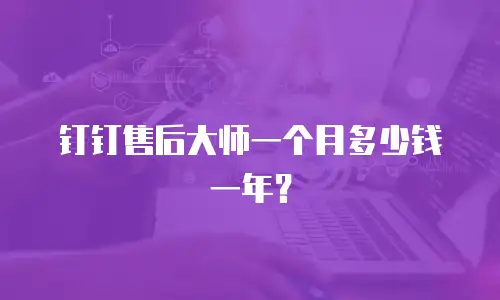钉钉售后大师一个月多少钱一年？