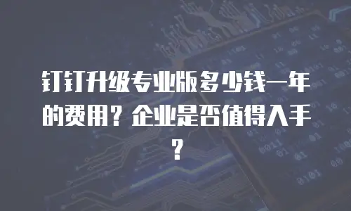 钉钉升级专业版多少钱一年的费用？企业是否值得入手？