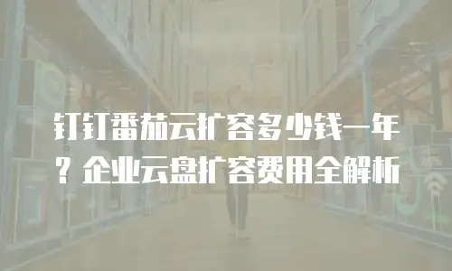 钉钉番茄云扩容多少钱一年？企业云盘扩容费用全解析