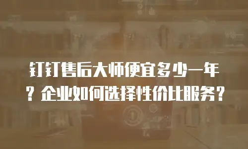钉钉售后大师便宜多少一年？企业如何选择性价比服务？