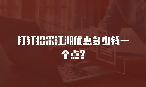 钉钉招采江湖优惠多少钱一个点？