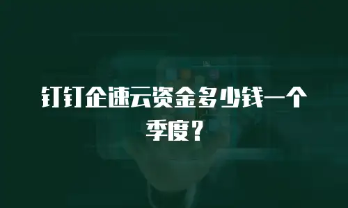 钉钉企速云资金多少钱一个季度？