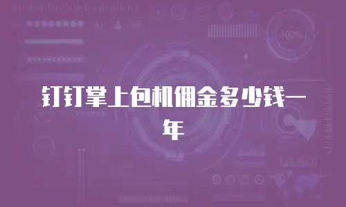 钉钉掌上包机佣金多少钱一年
