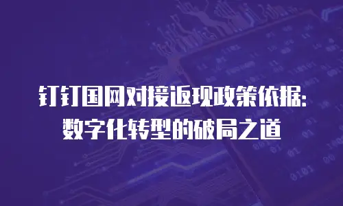 钉钉国网对接返现政策依据：数字化转型的破局之道