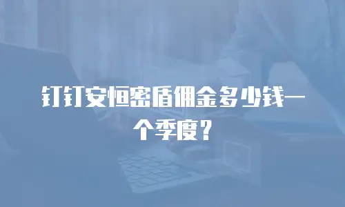 钉钉安恒密盾佣金多少钱一个季度？