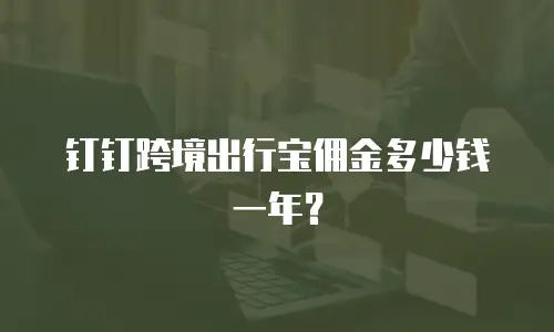 钉钉跨境出行宝佣金多少钱一年？