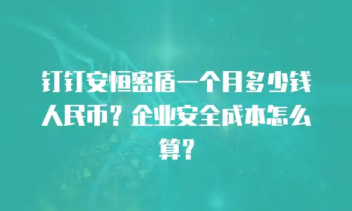 钉钉安恒密盾一个月多少钱人民币？企业安全成本怎么算？