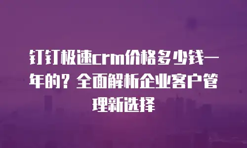 钉钉极速crm价格多少钱一年的？全面解析企业客户管理新选择