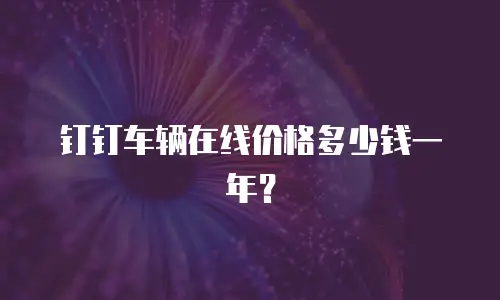 钉钉车辆在线价格多少钱一年？