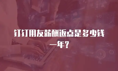 钉钉用友薪酬返点是多少钱一年？
