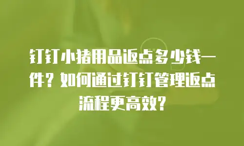钉钉小猪用品返点多少钱一件？如何通过钉钉管理返点流程更高效？