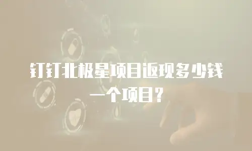 钉钉北极星项目返现多少钱一个项目？