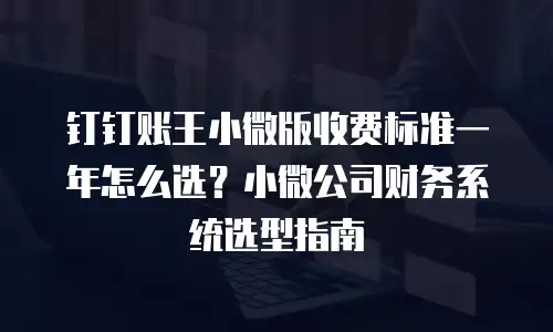 钉钉账王小微版收费标准一年怎么选？小微公司财务系统选型指南