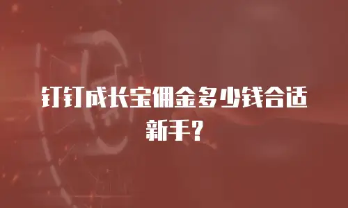 钉钉成长宝佣金多少钱合适新手？