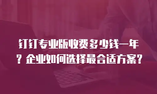 钉钉专业版收费多少钱一年？企业如何选择最合适方案？