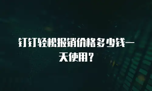 钉钉轻松报销价格多少钱一天使用？