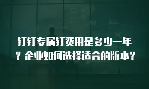 钉钉专属钉费用是多少一年？企业如何选择适合的版本？