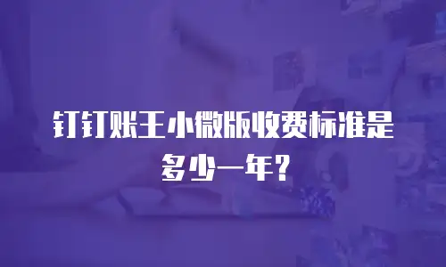 钉钉账王小微版收费标准是多少一年？