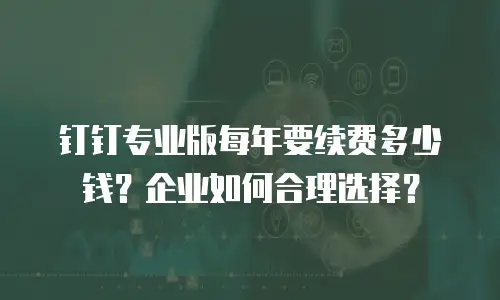 钉钉专业版每年要续费多少钱？企业如何合理选择？
