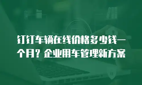 钉钉车辆在线价格多少钱一个月？企业用车管理新方案